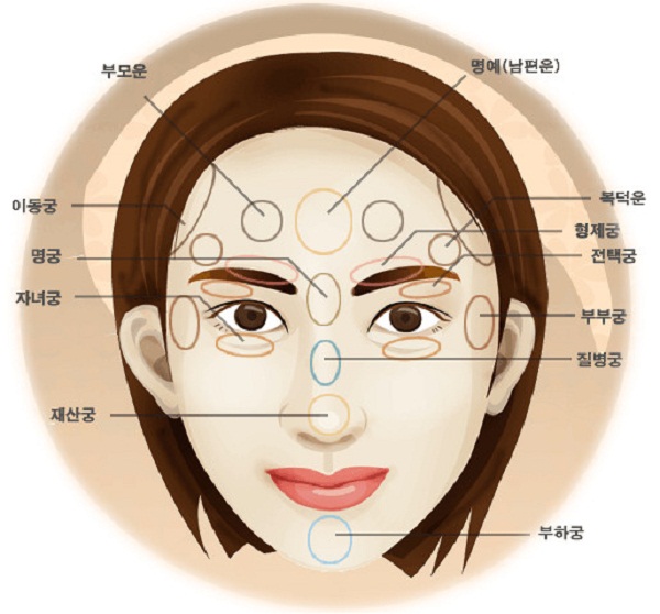 관상을 시작하려면 십이궁(十二宮)부터 공부하라 < 특집 < 특집기획 < 기사본문 - 성대신문