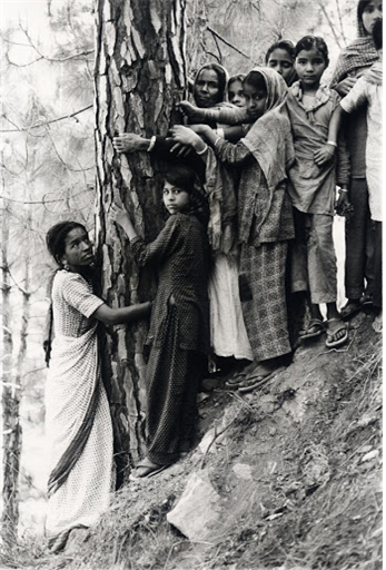 인도 가르왈의 여성들이 나무를 껴안아 베어내지 못하도록 하고 있다.